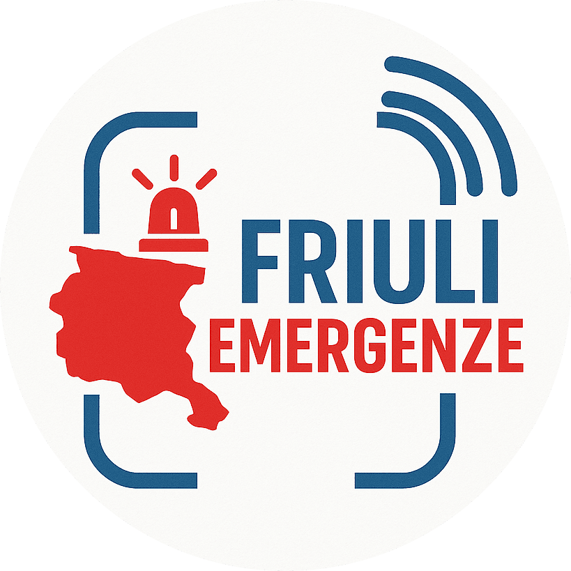 Logo MyFrEM